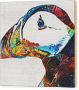 Colorful Puffin Art By Sharon Cummings Wood Print