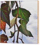 Colorful Winter Leaves Wood Print