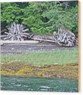 Colors Of Alaska - Layers Of Greens Wood Print