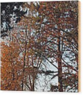 Colors Of Autumn Wood Print