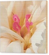 Colors Of Nature - Pink Centerpiece Wood Print