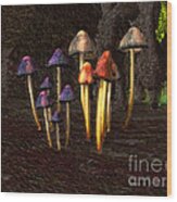 Coloured Mushrooms Wood Print