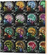 Coloured Sagittal Mri Scans Of The Human Brain Wood Print