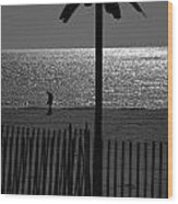 Coney Island 1 Wood Print