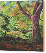 Connecticut Autumn Wood Print