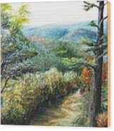 Connecticut Trail Wood Print