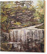 Cool Waterfall Wood Print