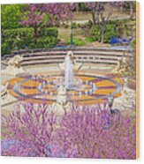 Coolidge Park Fountain In Spring Wood Print