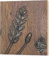 Copper Oak Wood Print
