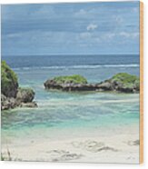 Coral Lagoon Beach And Clear Water Wood Print