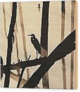 Cormorant And The Heron Wood Print