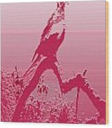 Cormorant Case In Pink Wood Print