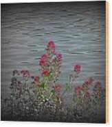 Cornish River Flora Wood Print