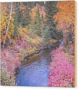 Cotton Candy Creek Wood Print