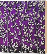 Cotton Flowers With Purple- Violet Background Wood Print