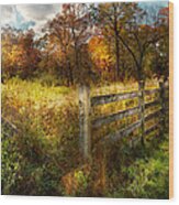 Country - Autumn Years Wood Print