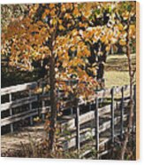 Country Bridge Wood Print