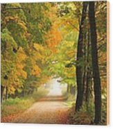 Country Road In Autumn Wood Print