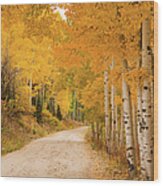 Country Road In Fall Season Wood Print