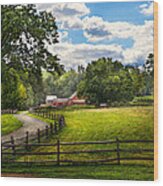 Country - The Pasture Wood Print