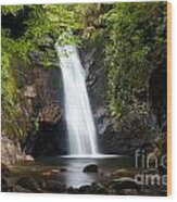 Courthouse Falls I 2010 Wood Print