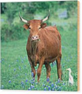 Cow And Cattle Egret Wood Print