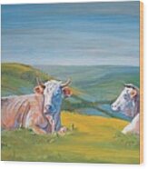 Cows Lying Down Painting Wood Print