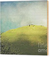 Cows On A Hill Wood Print