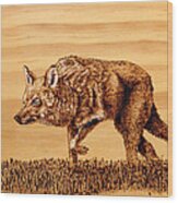 Coyote Wood Print