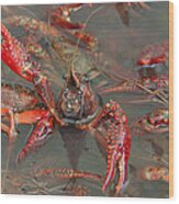 Crawfish Boil Galveston Style Wood Print