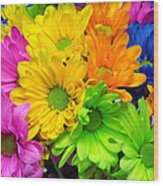 Colorful Crazy Daisies 1 Wood Print
