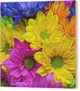 Colorful Crazy Daisies 2 Wood Print