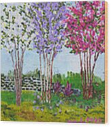 Crepe Myrtles Wood Print