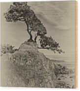 Crescent Cypress Wood Print