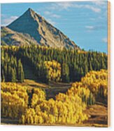 Crested Butte Autumn Colors At Sunset Wood Print