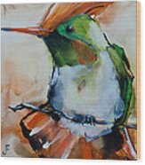 Crested Croquette Hummingbird Wood Print