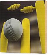 Cricket Ball Hitting Wickets Night Wood Print