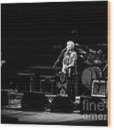 Crosby Stills And Nash Wood Print