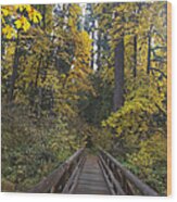 Crossing The Wooden Bridge Wood Print