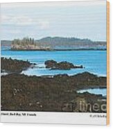 Crow Island Bay Of Fundy Nb Wood Print