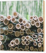 Cut Bamboo In Arashiyama Wood Print