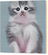 Cute Grey Kitten With Innocent Eyes Wood Print