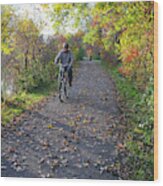 Cyclist In Parkland In Autumn Wood Print