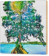 Da107 Cypress Tree Daniel Adams Wood Print