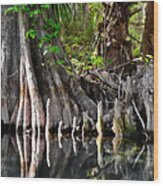 Cypress Trees - Nature's Relics Wood Print