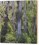 Cypress Wood Print