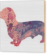 Dachshund 3 Wood Print