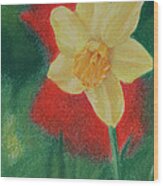 Daffodil And Poppies Wood Print