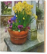 Daffodils And Pansies In Flowerpot Wood Print
