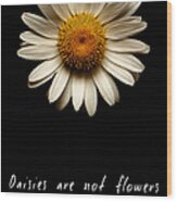 Daisies Are Not Flowers Wood Print